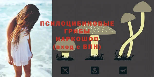 ПСИЛОЦИБИНОВЫЕ ГРИБЫ Баксан