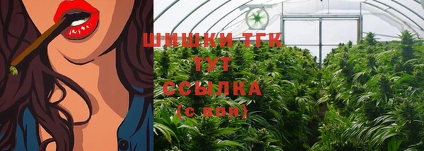 ПСИЛОЦИБИНОВЫЕ ГРИБЫ Баксан